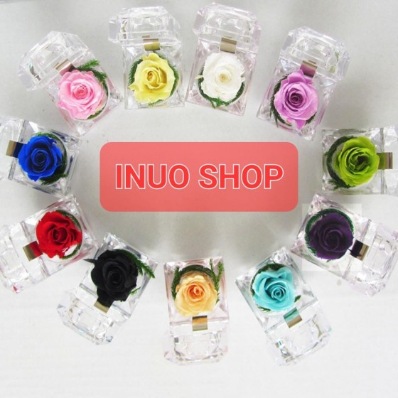 aja acrílica con rosa de color sólido